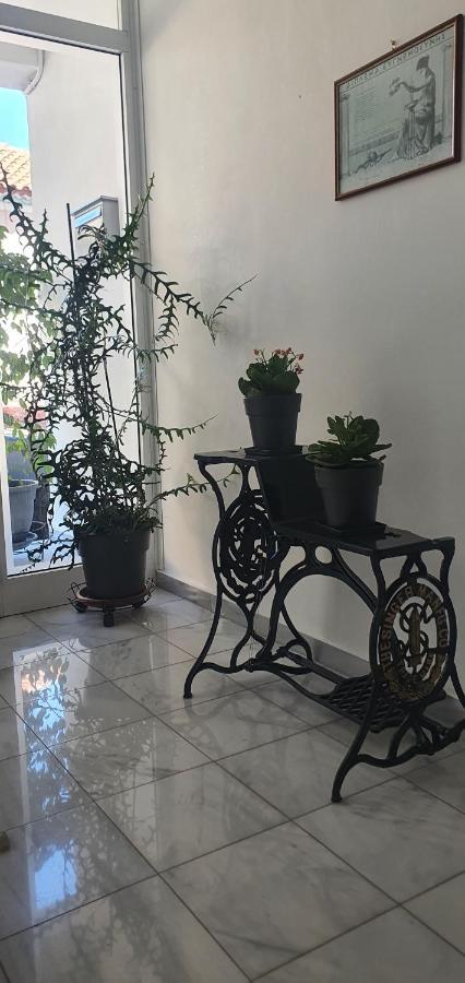City Garden Préveza Kültér fotó